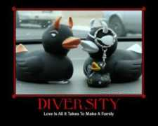 taltopia.com Diversity