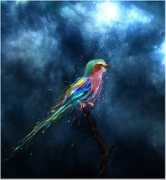 thedesigninspiration.com Divinely