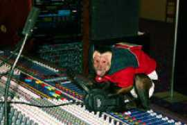 soundshoppe.com Djmonkey