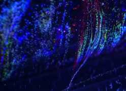 dataisnature.com Dmtry