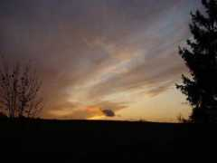 Dobele