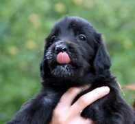 oasisofpeace.cz Dobida