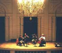 stpetersburgquartet.com Dogadin