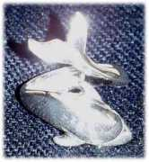 Dolphing