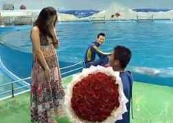 Dolphing