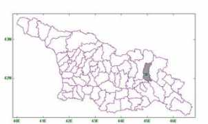 cybertruffle.org.uk Dominita