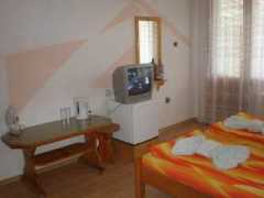 obiavibg.com Dominita