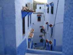 donalonso.travellerspoint.com Donalonso