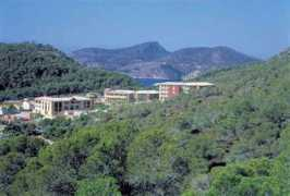 mallorca-web.de Donantonio