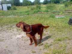 donwin.bloog.pl Donwin