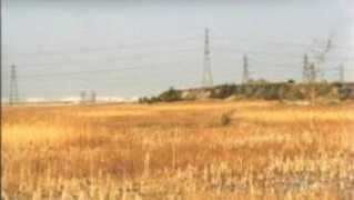 teesmouthbc.com Dormans