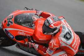 Dovi