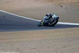 Dovi