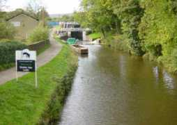 Dowley