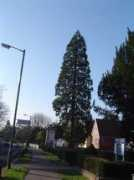 Downsend