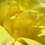 radiantbeing.co.uk Drisana