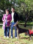 jbarsdobies.com Dshow