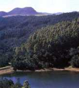 Dugli