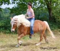 dadagnes.free.fr Duguey