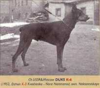 Duks