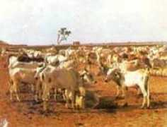 Dumra