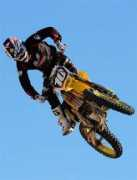 Dungey