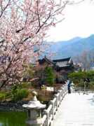 Duryu