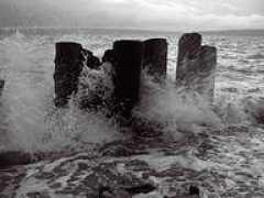 lightalongthejourney.com Duvina