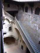 canimina.com Echer