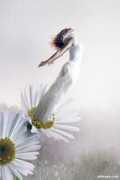 Eclosion