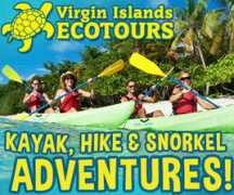 virginislandsthisweek.com Ecotours
