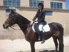 ecuriesdestagel.free.fr Edenne