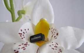 pcnews.ro Edimax