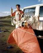 fishingkites.co.nz Edlington