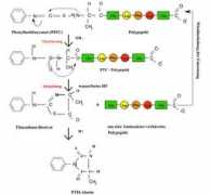 chemgapedia.de Edmann