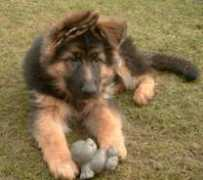 house-barrett.com Eernie