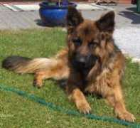 house-barrett.com Eernie