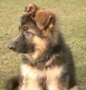 house-barrett.com Eernie