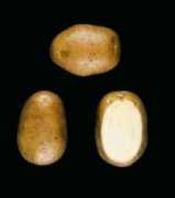 warenkennis.nl Eersteling