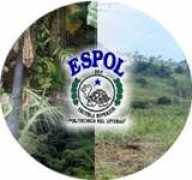 bosqueprotector.espol.edu.ec Ejimenez