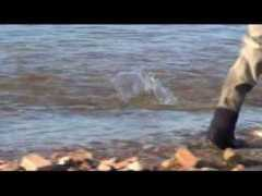 article.wn.com Ekaluk