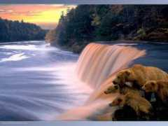 kaliteliresimler.com Elale