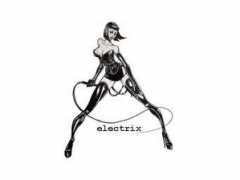 pw.brown.edu Electrix