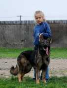 kreativekennels.com Eleina