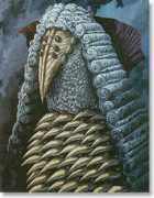latinartmuseum.com Eleomar