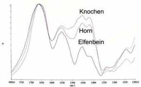 ivoryauthenticityandage.com Elfenbein