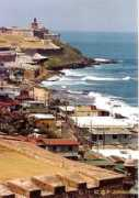 Elfort