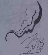 motherbird.com Eliseuson