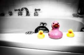 tecachephotography.com Elisiana