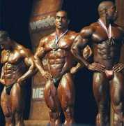 hercules.hobby.ru Elsonbaty